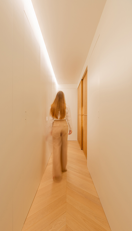 Japandi penthouse interior