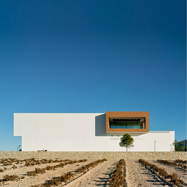 Bodegas Casa Rojo - Interior